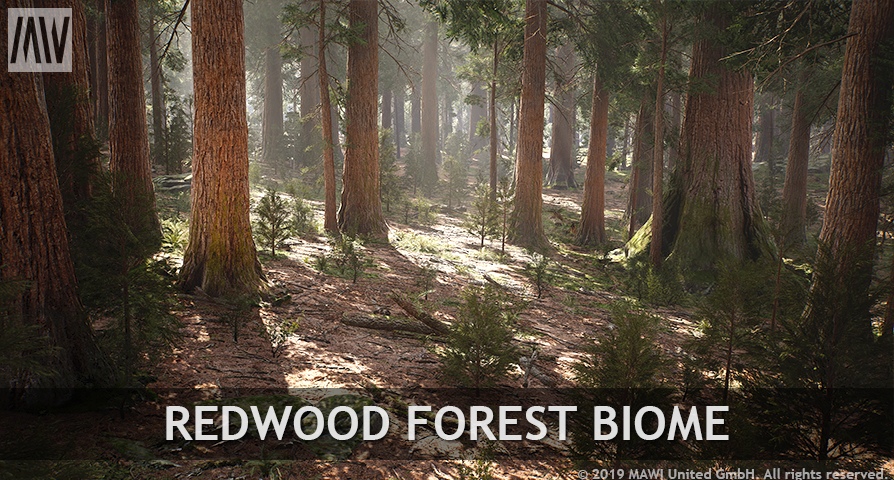 Redwood Forest Biome  unreal engine 4  asset download — 3D model download
