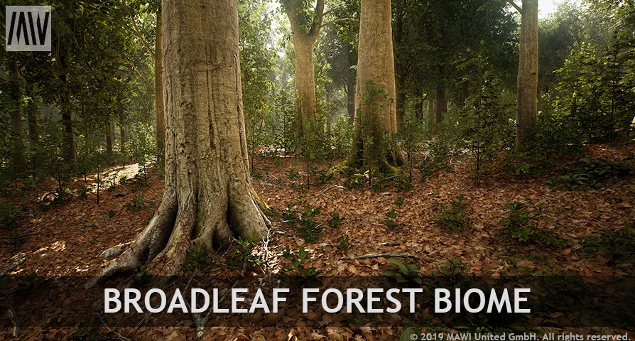 Broadleaf Forest Biome unreal engine 4  asset download — 3D model download