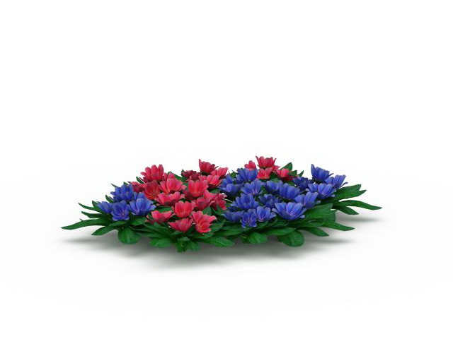 Shortsepal lewisia plant with flowers 3d model download — 3D model download