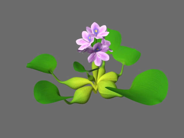 Water Plant with Flowers 3d model download — 3D model download