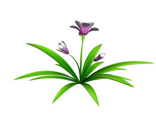 Chinese Cymbidium Orchids 3d model download — 3D model download