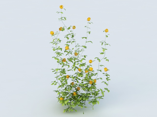 Yellow Flower Shrub 3d model download — 3D model download