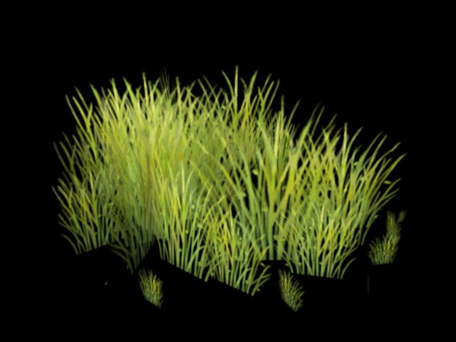 Green Grass 3d model download — 3D model download