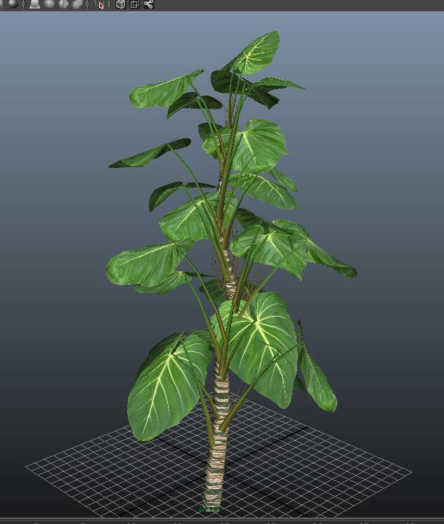 Giant Philodendron Plant 3d model download — 3D model download