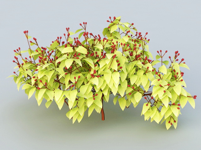 Red Berry Bushes 3d model download — 3D model download