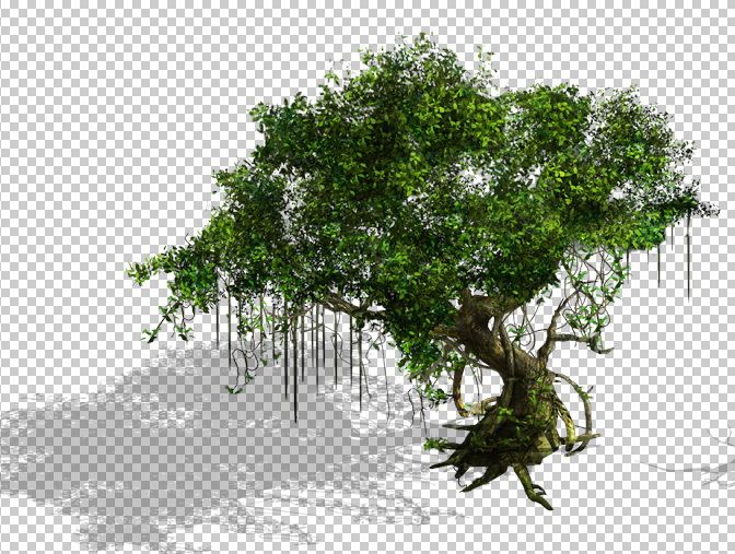 Old Banyan Tree 3d model download — 3D model download