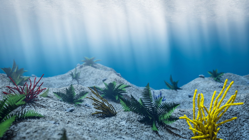 Underwater Scene 3d model download — 3D model download