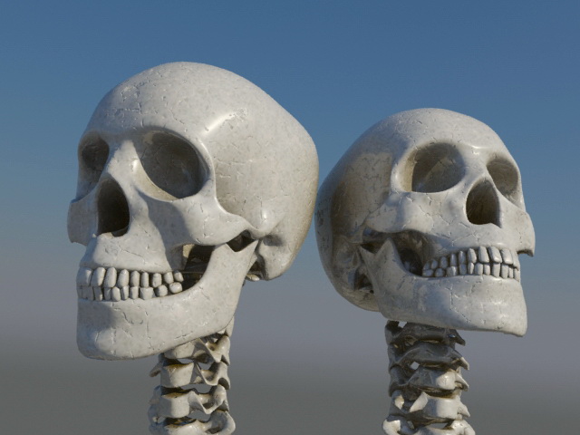 Human Skull 3d model download — 3D model download