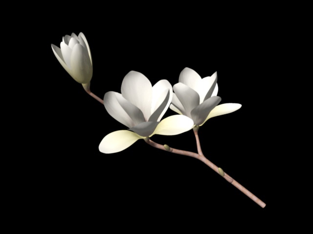 Tree Branch with Flowers 3d model download — 3D model download