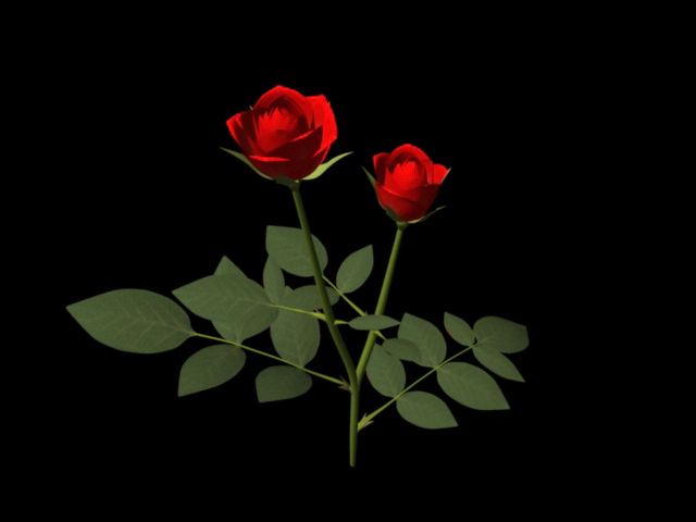Red Rose Flowers 3d model download — 3D model download