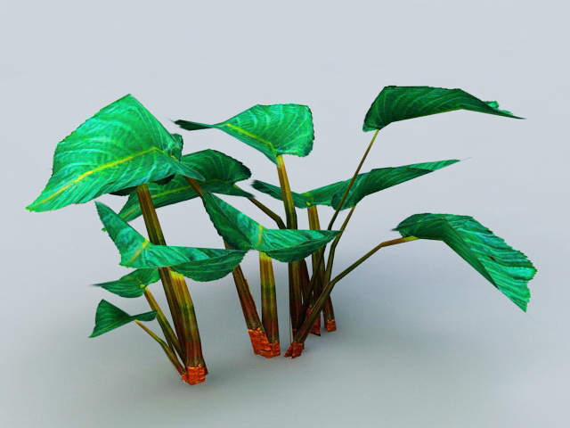 Elephant Ear Plants 3d model download — 3D model download