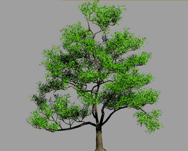 Oak Tree 3d model download — 3D model download