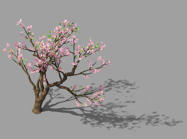 Peach Blossom Tree 3d model download — 3D model download