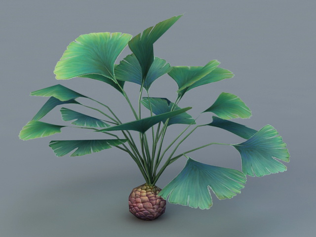 Tropical Broadleaf Plant 3d model download — 3D model download