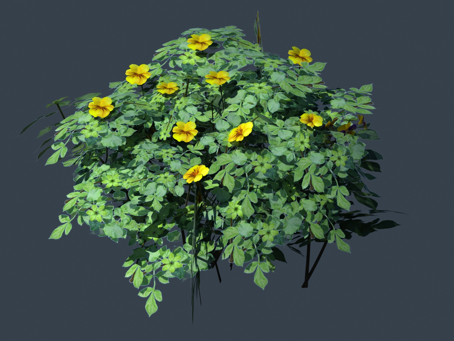 Yellow Flower Bush Plant 3d model download — 3D model download