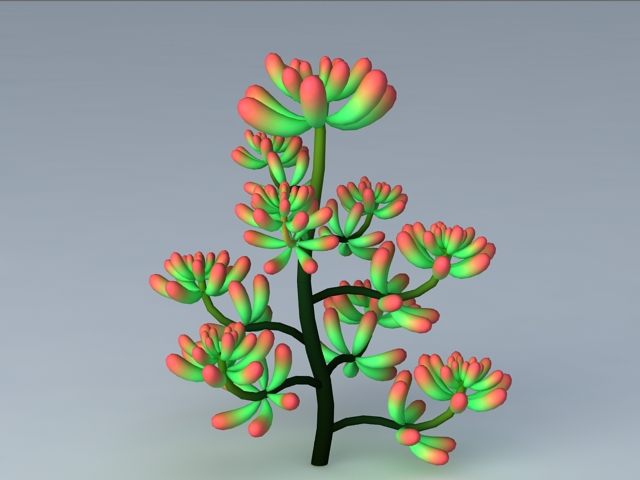 Sedum Pachyphyllum Plant 3d model download — 3D model download