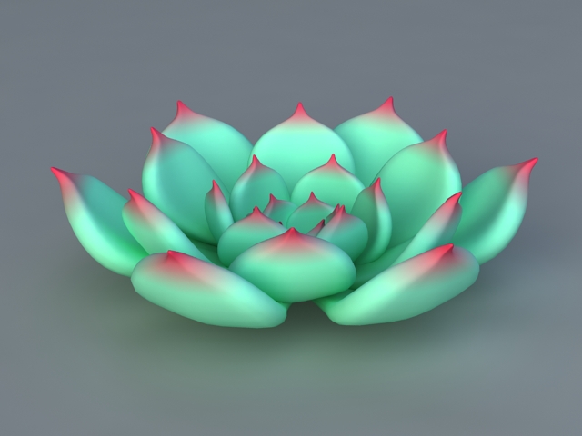 Echeveria Chihuahuaensis 3d model download — 3D model download