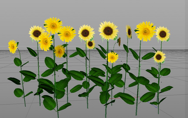Sunflower Plant 3d model download — 3D model download