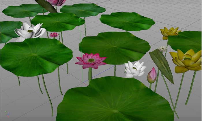 Lotus Flowers and Green Leaves 3d model download — 3D model download