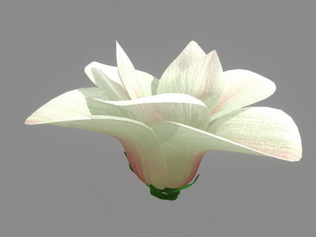 White Flower 3d model download — 3D model download
