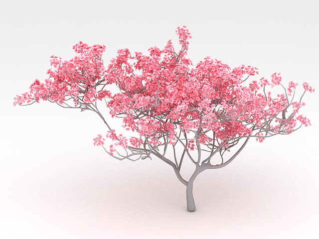 Red Flowering Tree 3d model download — 3D model download