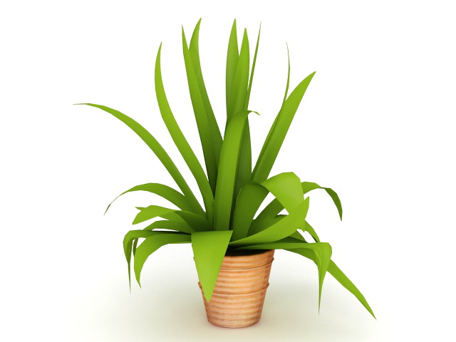 Green Leaf Indoor Plant 3d model download — 3D model download