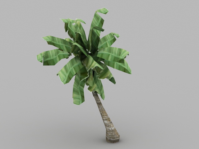 Banana Tree Plant 3d model download — 3D model download