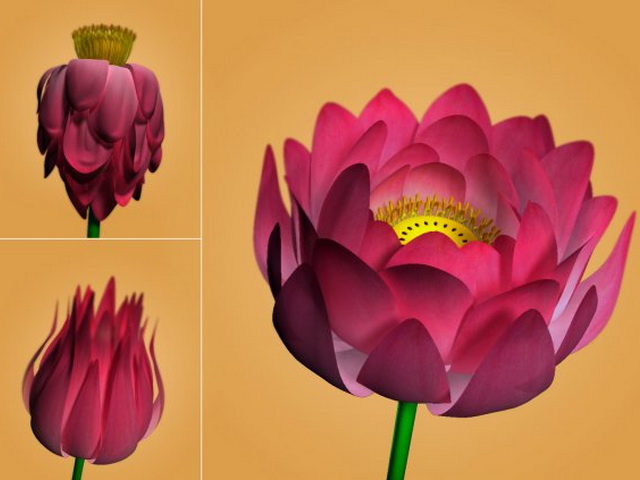 Lotus Flower Rig 3d model download — 3D model download