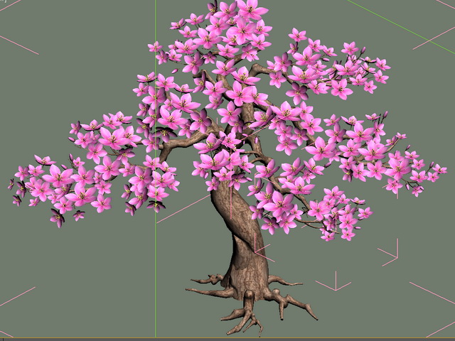 Flowering Peach Tree 3d model download — 3D model download