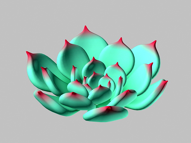 Echeveria chihuahuaensis 3d model download — 3D model download