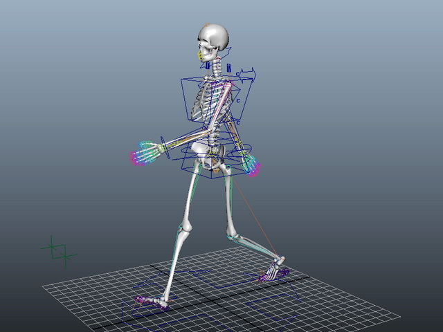 Animated Female Skeleton Rig 3d model download — 3D model download