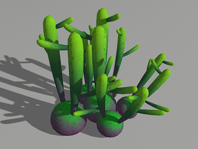 Euphorbia Oncoclada 3d model download — 3D model download
