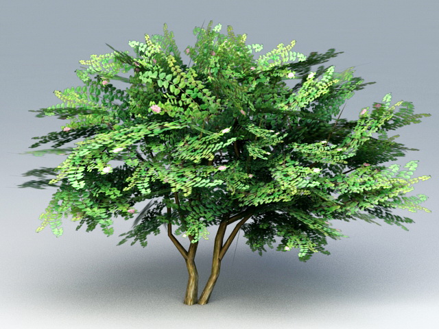 Hibiscus Tree 3d model download — 3D model download