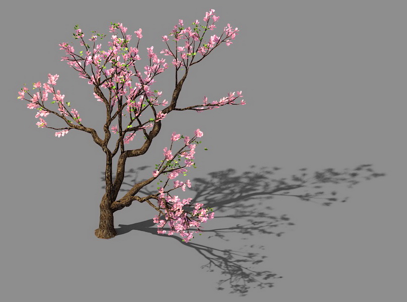 Pink Flowering Peach Tree 3d model download — 3D model download