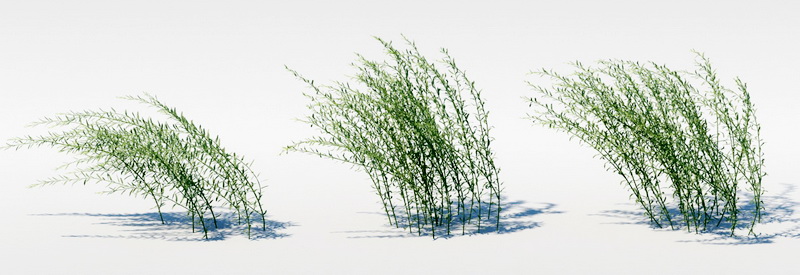 Unnamed Grass 3d model download — 3D model download