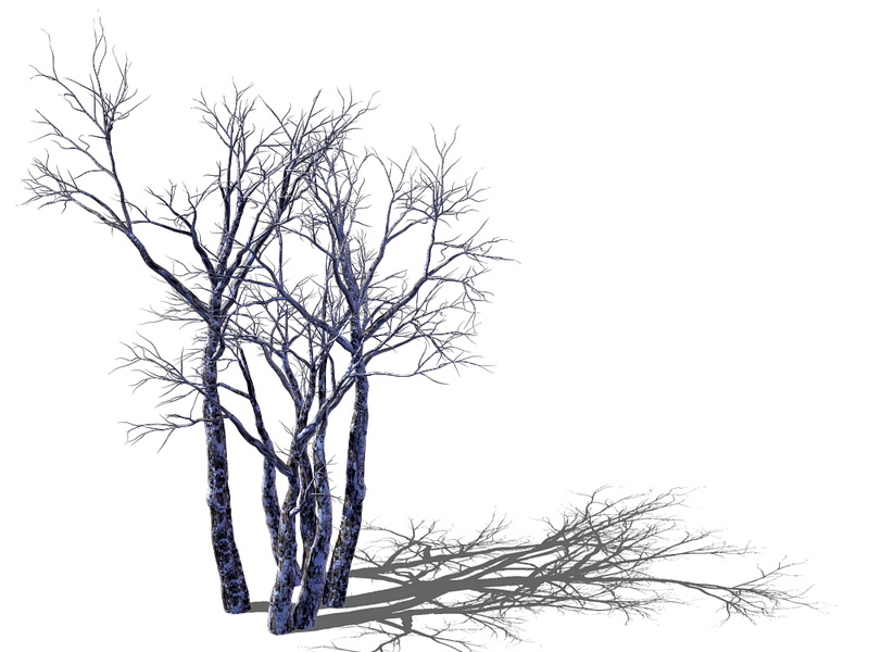Old Dead Tree 3d model download — 3D model download