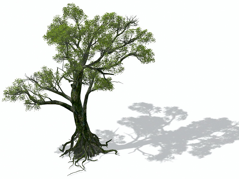 Old Tree 3d model download — 3D model download