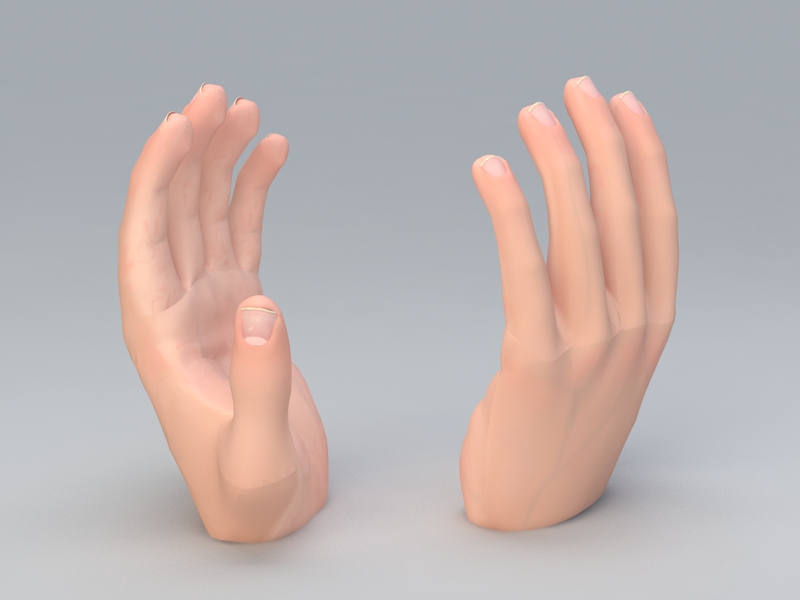 Left Hand 3d model download — 3D model download