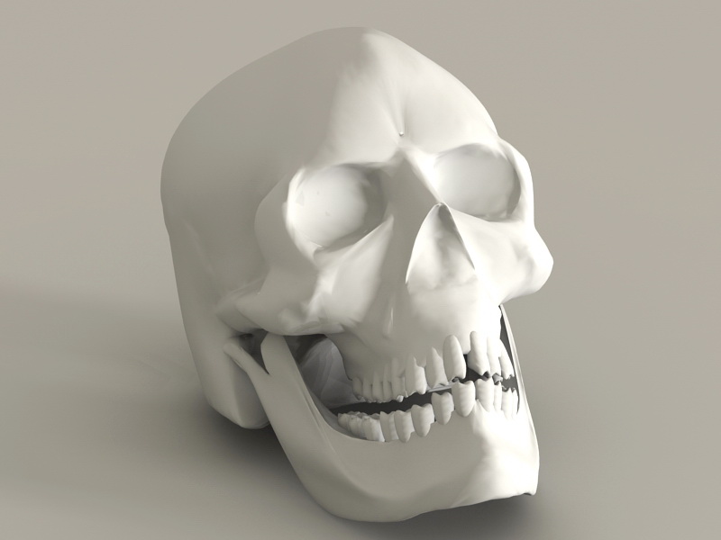 Human Skull 3d model download — 3D model download