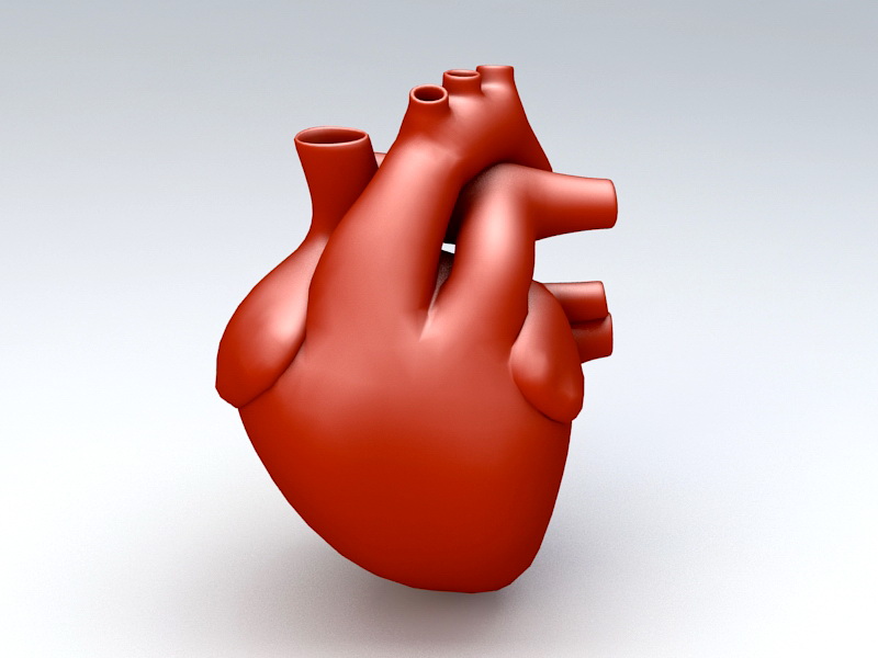 Human Heart 3d model download — 3D model download