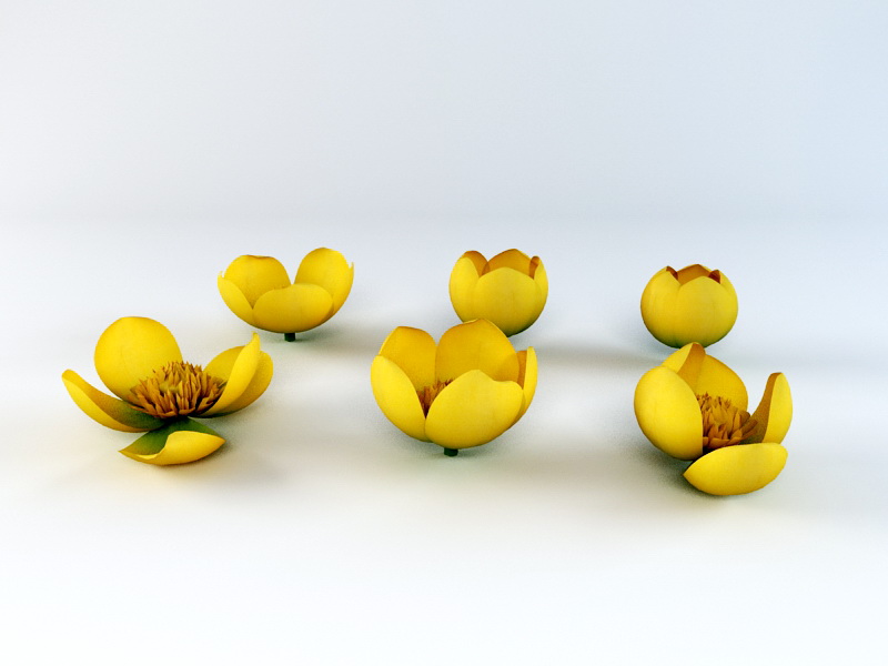 Yellow Flowers 3d model download — 3D model download