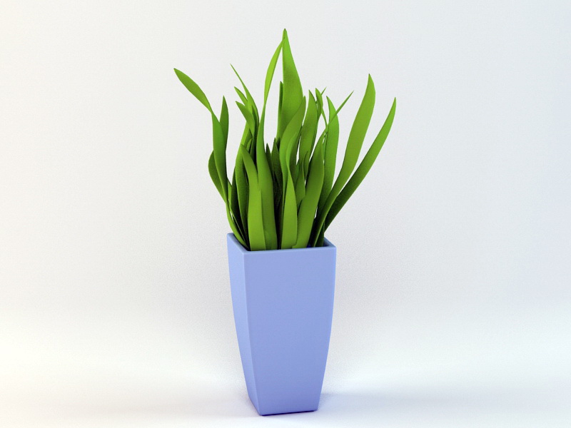 House Plant 3d model download — 3D model download