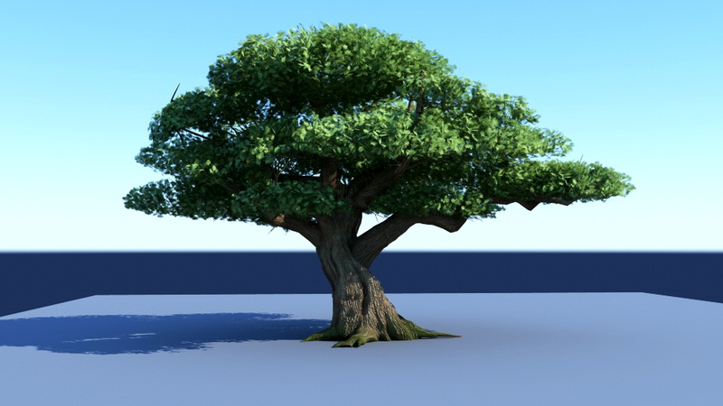 Big Tree 3d model download — 3D model download
