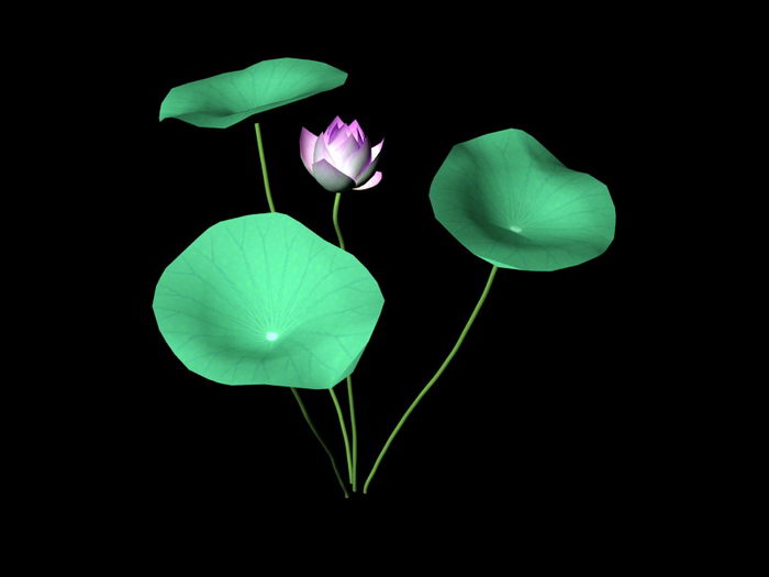 Lotus Flower 3d model download — 3D model download
