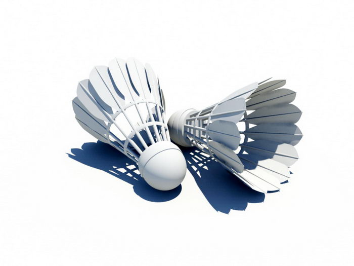 Feather Shuttlecock 3d model download — 3D model download