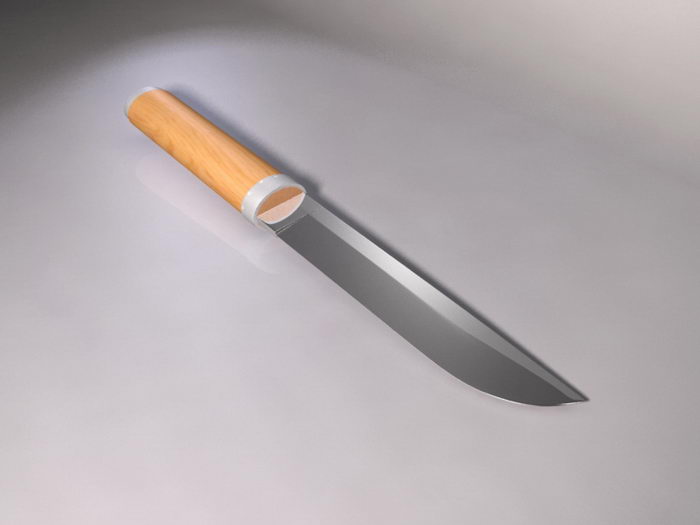 Kitchen Knife 3d model download — 3D model download