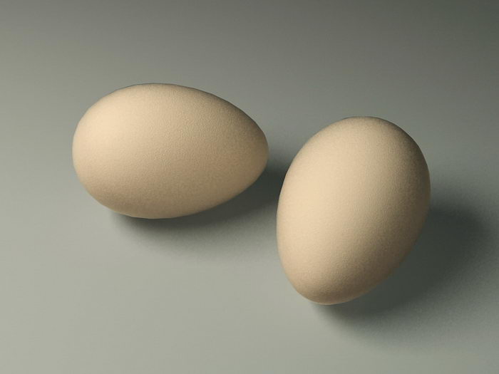 Brown Eggs 3d model download — 3D model download