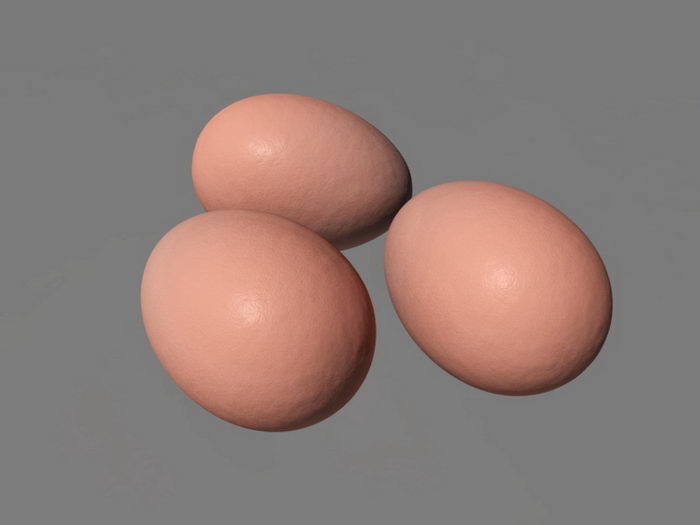 Brown Eggs 3d model download — 3D model download