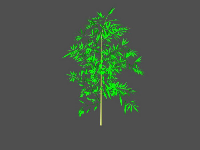 Bamboo Plant 3d model download — 3D model download
