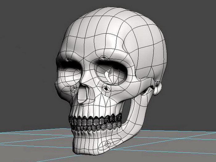 Skeleton Skull 3d model download — 3D model download